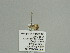  ( - BC ZSM Lep 91623)  @12 [ ] CreativeCommons - Attribution Non-Commercial Share-Alike (2016) SNSB, Staatliche Naturwissenschaftliche Sammlungen Bayerns ZSM (SNSB, Zoologische Staatssammlung Muenchen)