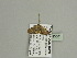  ( - BC ZSM Lep 93601)  @13 [ ] CreativeCommons - Attribution Non-Commercial Share-Alike (2016) SNSB, Staatliche Naturwissenschaftliche Sammlungen Bayerns ZSM (SNSB, Zoologische Staatssammlung Muenchen)