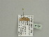  (Chloroclystis sierraria - BC ZSM Lep 93625)  @12 [ ] CreativeCommons - Attribution Non-Commercial Share-Alike (2016) SNSB, Staatliche Naturwissenschaftliche Sammlungen Bayerns ZSM (SNSB, Zoologische Staatssammlung Muenchen)
