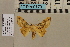  ( - BC ZSM Lep 94180)  @13 [ ] CreativeCommons - Attribution Non-Commercial Share-Alike (2019) SNSB, Staatliche Naturwissenschaftliche Sammlungen Bayerns ZSM (SNSB, Zoologische Staatssammlung Muenchen)
