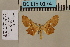  ( - BC ZSM Lep 94184)  @13 [ ] CreativeCommons - Attribution Non-Commercial Share-Alike (2019) SNSB, Staatliche Naturwissenschaftliche Sammlungen Bayerns ZSM (SNSB, Zoologische Staatssammlung Muenchen)