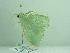  ( - BC ZSM Lep 94242)  @13 [ ] CreativeCommons - Attribution Non-Commercial Share-Alike (2016) SNSB, Staatliche Naturwissenschaftliche Sammlungen Bayerns ZSM (SNSB, Zoologische Staatssammlung Muenchen)