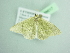  ( - BC ZSM Lep 98617)  @11 [ ] CreativeCommons - Attribution Non-Commercial Share-Alike (2017) SNSB, Staatliche Naturwissenschaftliche Sammlungen Bayerns ZSM (SNSB, Zoologische Staatssammlung Muenchen)