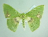  (Rhodochlora endognoma - BC ZSM Lep add 00250)  @14 [ ] CreativeCommons - Attribution Non-Commercial Share-Alike (2016) SNSB, Staatliche Naturwissenschaftliche Sammlungen Bayerns ZSM (SNSB, Zoologische Staatssammlung Muenchen)