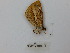  ( - CP Lep 0666)  @12 [ ] CreativeCommons - Attribution Non-Commercial Share-Alike (2016) SNSB, Staatliche Naturwissenschaftliche Sammlungen Bayerns ZSM (SNSB, Zoologische Staatssammlung Muenchen)
