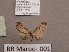  ( - BC ZSM Lep 97857)  @11 [ ] CreativeCommons - Attribution Non-Commercial Share-Alike (2017) SNSB, Staatliche Naturwissenschaftliche Sammlungen Bayerns ZSM (SNSB, Zoologische Staatssammlung Muenchen)