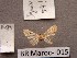  (Eupithecia deverrata - BC ZSM Lep 97863)  @12 [ ] CreativeCommons - Attribution Non-Commercial Share-Alike (2017) SNSB, Staatliche Naturwissenschaftliche Sammlungen Bayerns ZSM (SNSB, Zoologische Staatssammlung Muenchen)