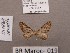  ( - BC ZSM Lep 97866)  @11 [ ] CreativeCommons - Attribution Non-Commercial Share-Alike (2017) SNSB, Staatliche Naturwissenschaftliche Sammlungen Bayerns ZSM (SNSB, Zoologische Staatssammlung Muenchen)