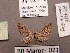  ( - BC ZSM Lep 97868)  @12 [ ] CreativeCommons - Attribution Non-Commercial Share-Alike (2017) SNSB, Staatliche Naturwissenschaftliche Sammlungen Bayerns ZSM (SNSB, Zoologische Staatssammlung Muenchen)