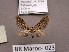  ( - BC ZSM Lep 97869)  @13 [ ] CreativeCommons - Attribution Non-Commercial Share-Alike (2017) SNSB, Staatliche Naturwissenschaftliche Sammlungen Bayerns ZSM (SNSB, Zoologische Staatssammlung Muenchen)