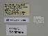  ( - SE MNC Lep 01343)  @11 [ ] CreativeCommons - Attribution Non-Commercial Share-Alike (2017) SNSB, Staatliche Naturwissenschaftliche Sammlungen Bayerns ZSM (SNSB, Zoologische Staatssammlung Muenchen)