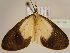  ( - BC ZSM Lep 96744)  @13 [ ] CreativeCommons - Attribution Non-Commercial Share-Alike (2017) SNSB, Staatliche Naturwissenschaftliche Sammlungen Bayerns ZSM (SNSB, Zoologische Staatssammlung Muenchen)