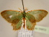  ( - BC ZSM Lep 96853)  @12 [ ] CreativeCommons - Attribution Non-Commercial Share-Alike (2017) SNSB, Staatliche Naturwissenschaftliche Sammlungen Bayerns ZSM (SNSB, Zoologische Staatssammlung Muenchen)