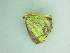  ( - BC ZSM Lep 101196)  @11 [ ] CreativeCommons - Attribution Non-Commercial Share-Alike (2017) SNSB, Staatliche Naturwissenschaftliche Sammlungen Bayerns ZSM (SNSB, Zoologische Staatssammlung Muenchen)