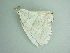  ( - BC ZSM Lep 101410)  @11 [ ] CreativeCommons - Attribution Non-Commercial Share-Alike (2017) SNSB, Staatliche Naturwissenschaftliche Sammlungen Bayerns ZSM (SNSB, Zoologische Staatssammlung Muenchen)