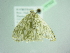  ( - BC ZSM Lep 101522)  @11 [ ] CreativeCommons - Attribution Non-Commercial Share-Alike (2017) SNSB, Staatliche Naturwissenschaftliche Sammlungen Bayerns ZSM (SNSB, Zoologische Staatssammlung Muenchen)