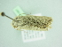  ( - BC ZSM Lep 101597)  @11 [ ] CreativeCommons - Attribution Non-Commercial Share-Alike (2017) SNSB, Staatliche Naturwissenschaftliche Sammlungen Bayerns ZSM (SNSB, Zoologische Staatssammlung Muenchen)