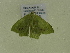  ( - BC ZSM Lep 102123)  @11 [ ] CreativeCommons - Attribution Non-Commercial Share-Alike (2018) SNSB, Staatliche Naturwissenschaftliche Sammlungen Bayerns ZSM (SNSB, Zoologische Staatssammlung Muenchen)