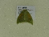  ( - BC ZSM Lep 102133)  @12 [ ] CreativeCommons - Attribution Non-Commercial Share-Alike (2018) SNSB, Staatliche Naturwissenschaftliche Sammlungen Bayerns ZSM (SNSB, Zoologische Staatssammlung Muenchen)