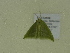  ( - BC ZSM Lep 102134)  @12 [ ] CreativeCommons - Attribution Non-Commercial Share-Alike (2018) SNSB, Staatliche Naturwissenschaftliche Sammlungen Bayerns ZSM (SNSB, Zoologische Staatssammlung Muenchen)