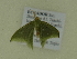  ( - BC ZSM Lep 102135)  @12 [ ] CreativeCommons - Attribution Non-Commercial Share-Alike (2018) SNSB, Staatliche Naturwissenschaftliche Sammlungen Bayerns ZSM (SNSB, Zoologische Staatssammlung Muenchen)