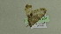  ( - BC ZSM Lep 102227)  @11 [ ] CreativeCommons - Attribution Non-Commercial Share-Alike (2018) SNSB, Staatliche Naturwissenschaftliche Sammlungen Bayerns ZSM (SNSB, Zoologische Staatssammlung Muenchen)