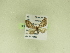  ( - BC ZSM Lep 102313)  @11 [ ] CreativeCommons - Attribution Non-Commercial Share-Alike (2018) SNSB, Staatliche Naturwissenschaftliche Sammlungen Bayerns ZSM (SNSB, Zoologische Staatssammlung Muenchen)