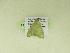  ( - BC ZSM Lep 102345)  @11 [ ] CreativeCommons - Attribution Non-Commercial Share-Alike (2018) SNSB, Staatliche Naturwissenschaftliche Sammlungen Bayerns ZSM (SNSB, Zoologische Staatssammlung Muenchen)