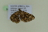  ( - BC ZSM Lep 102615)  @12 [ ] CreativeCommons - Attribution Non-Commercial Share-Alike (2018) SNSB, Staatliche Naturwissenschaftliche Sammlungen Bayerns ZSM (SNSB, Zoologische Staatssammlung Muenchen)