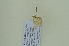  ( - BC ZSM Lep 102632)  @11 [ ] CreativeCommons - Attribution Non-Commercial Share-Alike (2018) SNSB, Staatliche Naturwissenschaftliche Sammlungen Bayerns ZSM (SNSB, Zoologische Staatssammlung Muenchen)