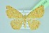  ( - BC ZSM Lep 104349)  @11 [ ] CreativeCommons - Attribution Non-Commercial Share-Alike (2018) SNSB, Staatliche Naturwissenschaftliche Sammlungen Bayerns ZSM (SNSB, Zoologische Staatssammlung Muenchen)