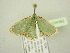  ( - BC ZSM Lep 104392)  @11 [ ] CreativeCommons - Attribution Non-Commercial Share-Alike (2018) SNSB, Staatliche Naturwissenschaftliche Sammlungen Bayerns ZSM (SNSB, Zoologische Staatssammlung Muenchen)