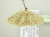  ( - BC ZSM Lep 104572)  @11 [ ] CreativeCommons - Attribution Non-Commercial Share-Alike (2018) SNSB, Staatliche Naturwissenschaftliche Sammlungen Bayerns ZSM (SNSB, Zoologische Staatssammlung Muenchen)