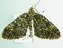  ( - BC ZSM Lep 104611)  @11 [ ] CreativeCommons - Attribution Non-Commercial Share-Alike (2018) SNSB, Staatliche Naturwissenschaftliche Sammlungen Bayerns ZSM (SNSB, Zoologische Staatssammlung Muenchen)