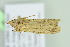  ( - BC ZSM Lep 103657)  @12 [ ] CreativeCommons - Attribution Non-Commercial Share-Alike (2018) SNSB, Staatliche Naturwissenschaftliche Sammlungen Bayerns ZSM (SNSB, Zoologische Staatssammlung Muenchen)