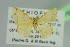  ( - BC ZSM Lep 103766)  @11 [ ] CreativeCommons - Attribution Non-Commercial Share-Alike (2018) SNSB, Staatliche Naturwissenschaftliche Sammlungen Bayerns ZSM (SNSB, Zoologische Staatssammlung Muenchen)
