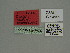  ( - BC ZSM Lep 76050)  @11 [ ] CreativeCommons - Attribution Non-Commercial Share-Alike (2013) Axel Hausmann/Bavarian State Collection of Zoology (ZSM) SNSB, Zoologische Staatssammlung Muenchen