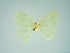  ( - BC ZSM Lep 76138)  @11 [ ] CreativeCommons - Attribution Non-Commercial Share-Alike (2013) Axel Hausmann/Bavarian State Collection of Zoology (ZSM) SNSB, Zoologische Staatssammlung Muenchen