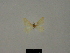  ( - BC ZSM Lep 76161)  @11 [ ] CreativeCommons - Attribution Non-Commercial Share-Alike (2013) Axel Hausmann/Bavarian State Collection of Zoology (ZSM) SNSB, Zoologische Staatssammlung Muenchen