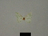  ( - BC ZSM Lep 76168)  @11 [ ] CreativeCommons - Attribution Non-Commercial Share-Alike (2013) Axel Hausmann/Bavarian State Collection of Zoology (ZSM) SNSB, Zoologische Staatssammlung Muenchen
