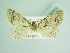  ( - BC ZSM Lep 85823)  @11 [ ] CreativeCommons - Attribution Non-Commercial Share-Alike (2015) Axel Hausmann/Bavarian State Collection of Zoology (ZSM) SNSB, Zoologische Staatssammlung Muenchen