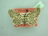  (Eupithecia inconspicuata - BC ZSM Lep 103486)  @11 [ ] CreativeCommons - Attribution Non-Commercial Share-Alike (2018) SNSB, Staatliche Naturwissenschaftliche Sammlungen Bayerns ZSM (SNSB, Zoologische Staatssammlung Muenchen)