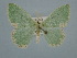  ( - BC ZSM Lep 106565)  @11 [ ] CreativeCommons - Attribution Non-Commercial Share-Alike (2019) SNSB, Staatliche Naturwissenschaftliche Sammlungen Bayerns ZSM (SNSB, Zoologische Staatssammlung Muenchen)