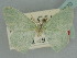  ( - BC ZSM Lep 114670)  @11 [ ] by-nc-sa (2021) SNSB, Staatliche Naturwissenschaftliche Sammlungen Bayerns ZSM (SNSB, Zoologische Staatssammlung Muenchen)