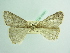  ( - BC ZSM Lep 93681_NGS)  @11 [ ] CreativeCommons - Attribution Non-Commercial Share-Alike (2016) SNSB, Staatliche Naturwissenschaftliche Sammlungen Bayerns ZSM (SNSB, Zoologische Staatssammlung Muenchen)