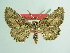  ( - BC ZSM Lep 93683_NGS)  @11 [ ] CreativeCommons - Attribution Non-Commercial Share-Alike (2016) SNSB, Staatliche Naturwissenschaftliche Sammlungen Bayerns ZSM (SNSB, Zoologische Staatssammlung Muenchen)