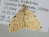  ( - BC ZSM Lep 105345)  @11 [ ] CreativeCommons - Attribution Non-Commercial Share-Alike (2019) SNSB, Staatliche Naturwissenschaftliche Sammlungen Bayerns ZSM (SNSB, Zoologische Staatssammlung Muenchen)