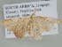  ( - BC ZSM Lep 105359)  @11 [ ] CreativeCommons - Attribution Non-Commercial Share-Alike (2019) SNSB, Staatliche Naturwissenschaftliche Sammlungen Bayerns ZSM (SNSB, Zoologische Staatssammlung Muenchen)