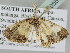  ( - BC ZSM Lep 105513)  @11 [ ] CreativeCommons - Attribution Non-Commercial Share-Alike (2019) SNSB, Staatliche Naturwissenschaftliche Sammlungen Bayerns ZSM (SNSB, Zoologische Staatssammlung Muenchen)