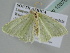  ( - BC ZSM Lep 105753)  @11 [ ] CreativeCommons - Attribution Non-Commercial Share-Alike (2019) SNSB, Staatliche Naturwissenschaftliche Sammlungen Bayerns ZSM (SNSB, Zoologische Staatssammlung Muenchen)